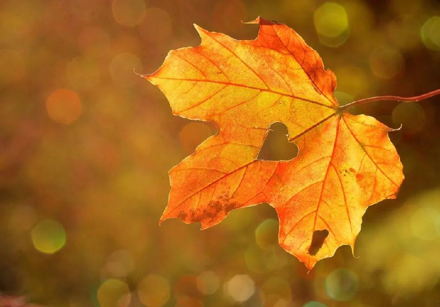 【神州源流诗苑】第1037期优秀近体诗《都市头条》周刊(图9)