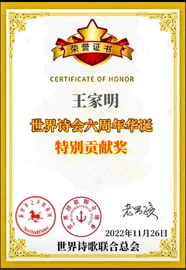 《满江红. 痛吟九. 一八》文：江花（北京）诵：家明【长安街总社】世界诗人名人展（10536）（图16）