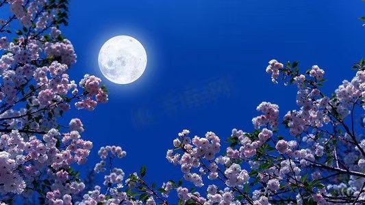 诵阿琼/文周峰：《望着月亮，就想起了您》（图6）