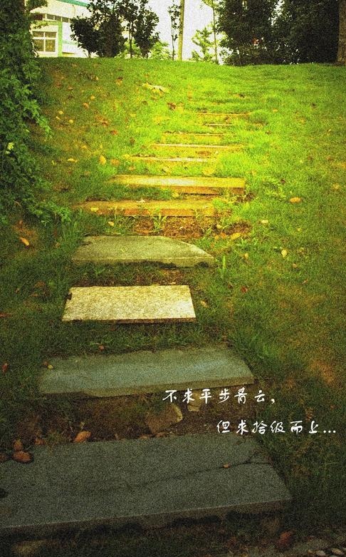 七律-感慨人生～诗||杨景儒（图8）