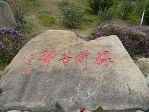 《刻上文字的石头》文/林水火（福建）（图2）