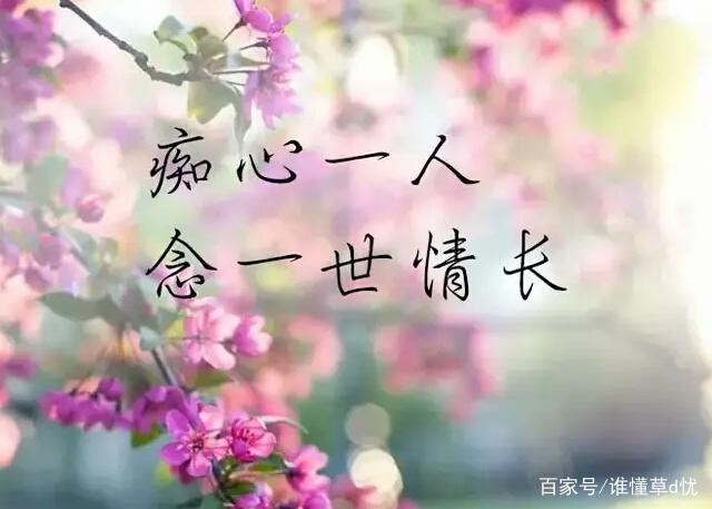 中秋（现代诗歌）外一首 文/文成武就〔广东〕【冰心文化传媒】（图8）