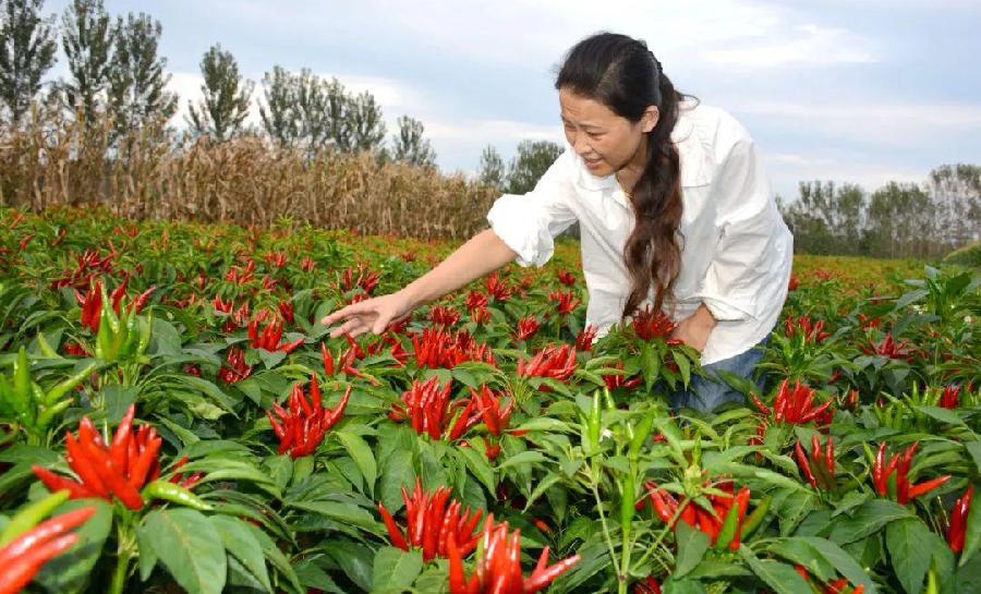 秋分吟怀～诗||于兴庆（图13）