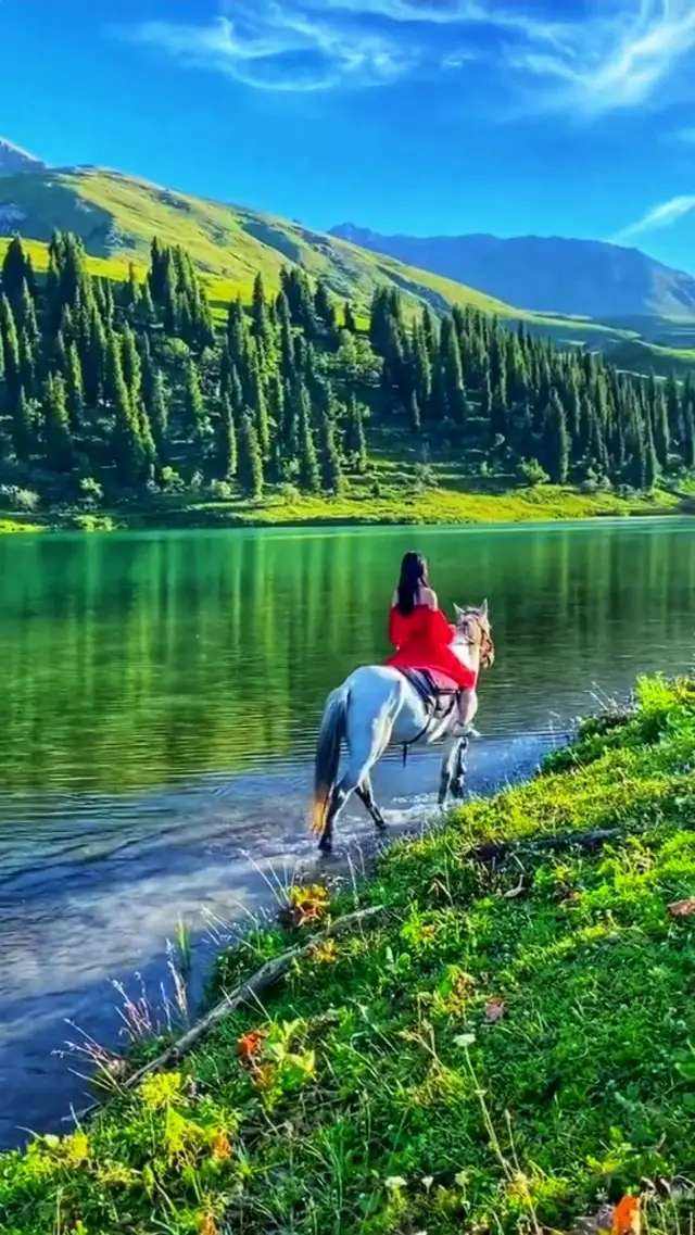 七律-人生遐想~诗||真诚(哲林)(图9)