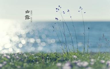 《秋后·白露》作者:芦国柱‖主播:丹桂【桃源国际诗歌集团】桃源♬ 馨声（图7）