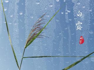《秋后·白露》作者:芦国柱‖主播:丹桂【桃源国际诗歌集团】桃源♬ 馨声（图8）