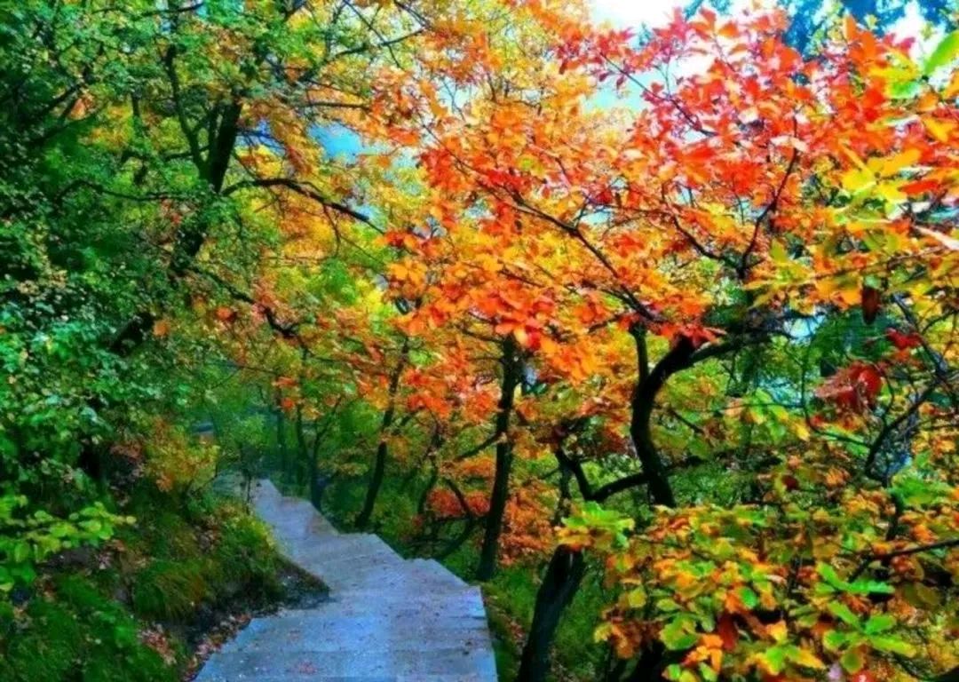 《在秋天的尾巴上感叹》文/林水火（福建）（图3）