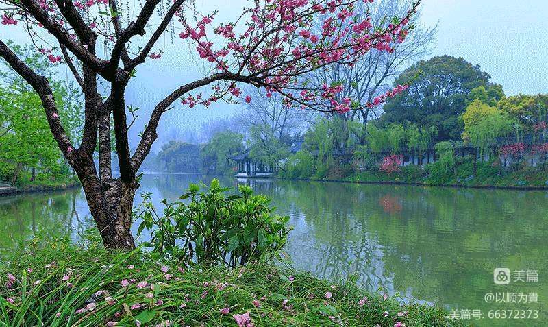 卓顺贵癸卯诗词集（图10）