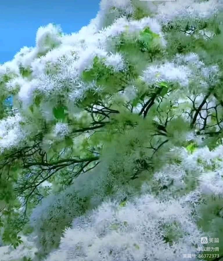 卓顺贵癸卯诗词集（图75）