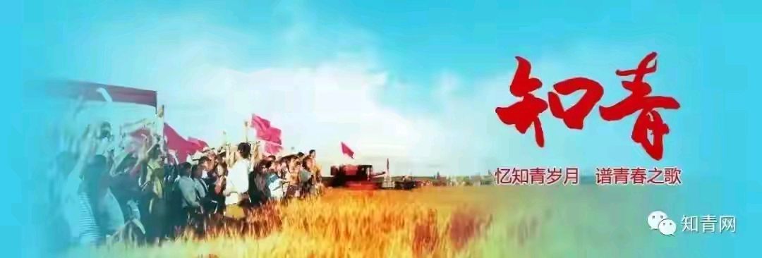 游贵州青岩古镇,黔灵山公园之绝美(图23)