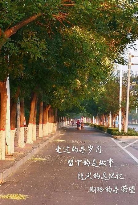 七律-醉看夕阳～诗||杨景儒（图9）