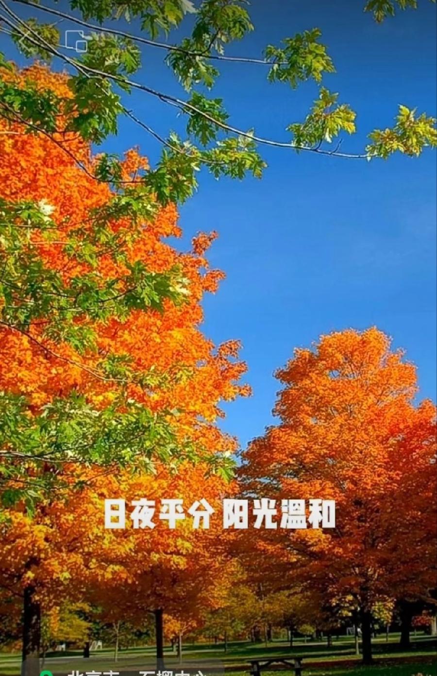 【经典推荐】曾培方//咏农村丰收节｛外一首｝（图3）