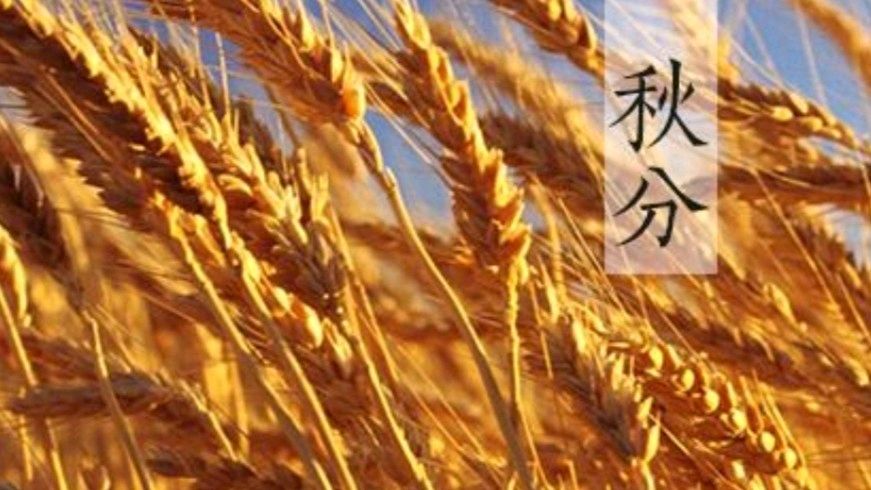 《九江文学社：北京头条》《秋分——暨中国农民丰收节》 》专刊【总第1843期】（图27）