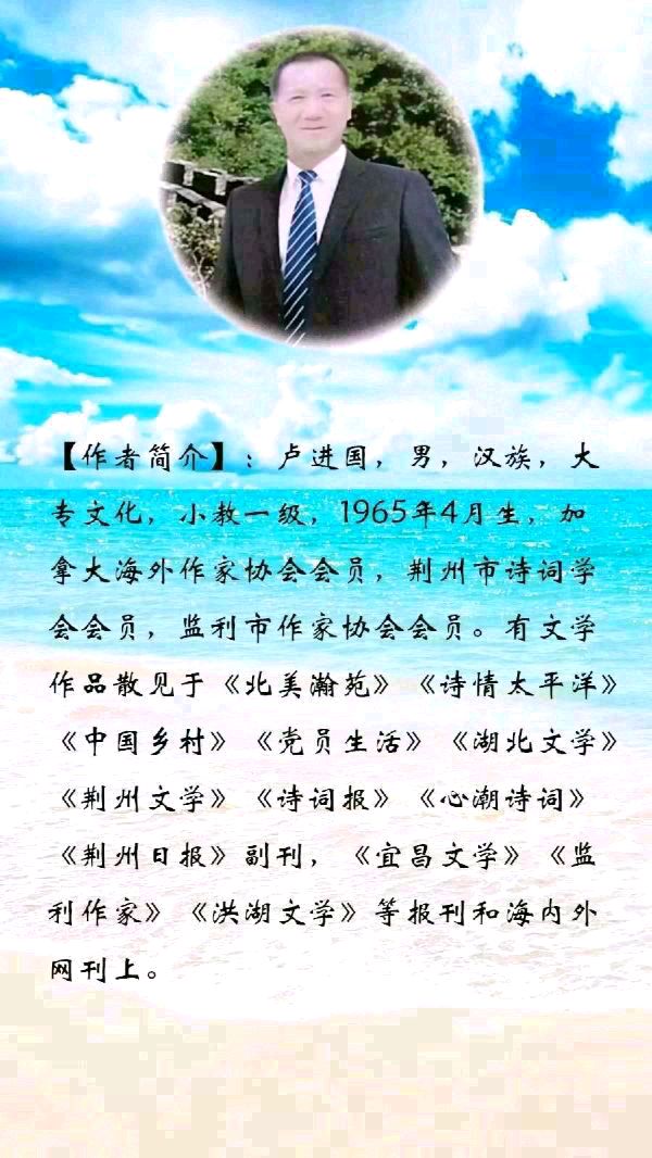 中华诗艺黑龙江分社微刊第213期(图24)