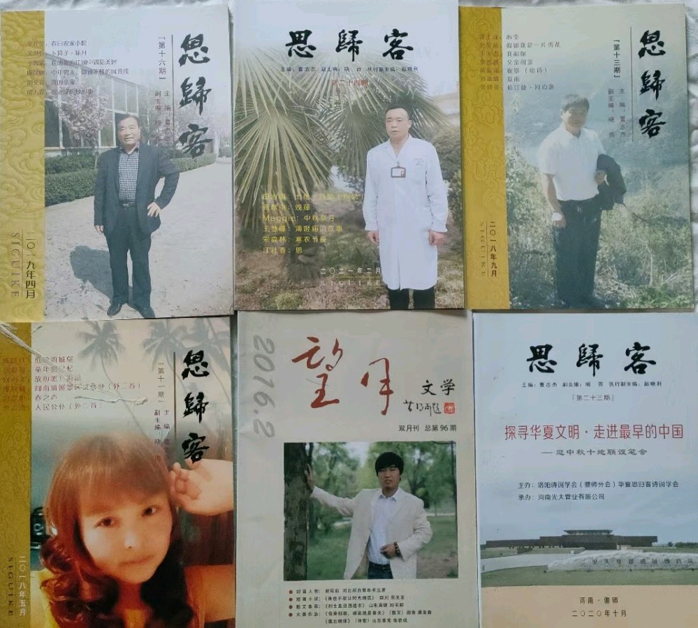 思归客系列丛书征稿启事——华夏思归客《诗当代》开始征稿(图5)