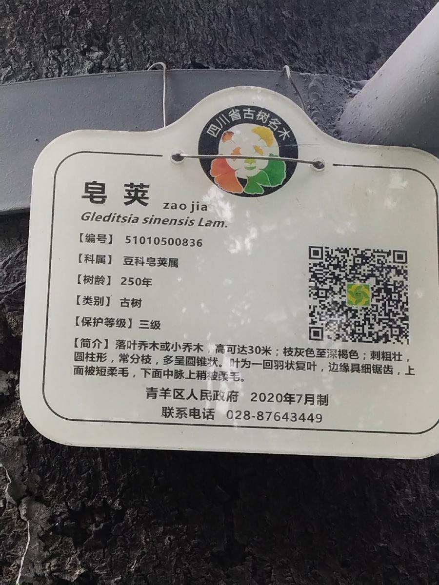 生命的传奇‖巴彦诗协诗词卷【585】(图3)