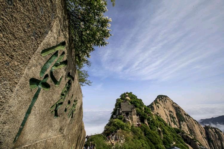 《根》作者:周志利【主播:彭美华】【中国现代诗歌文化传媒】徜徉诗的海洋，聆听天籁之声♬（图5）