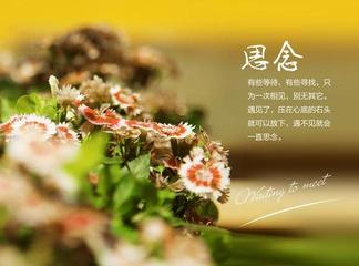 《小文三篇》作者:青山不改【主播:马志宏【中国现代诗歌文化传媒】徜徉诗的海洋聆听天籁之声♬（图7）
