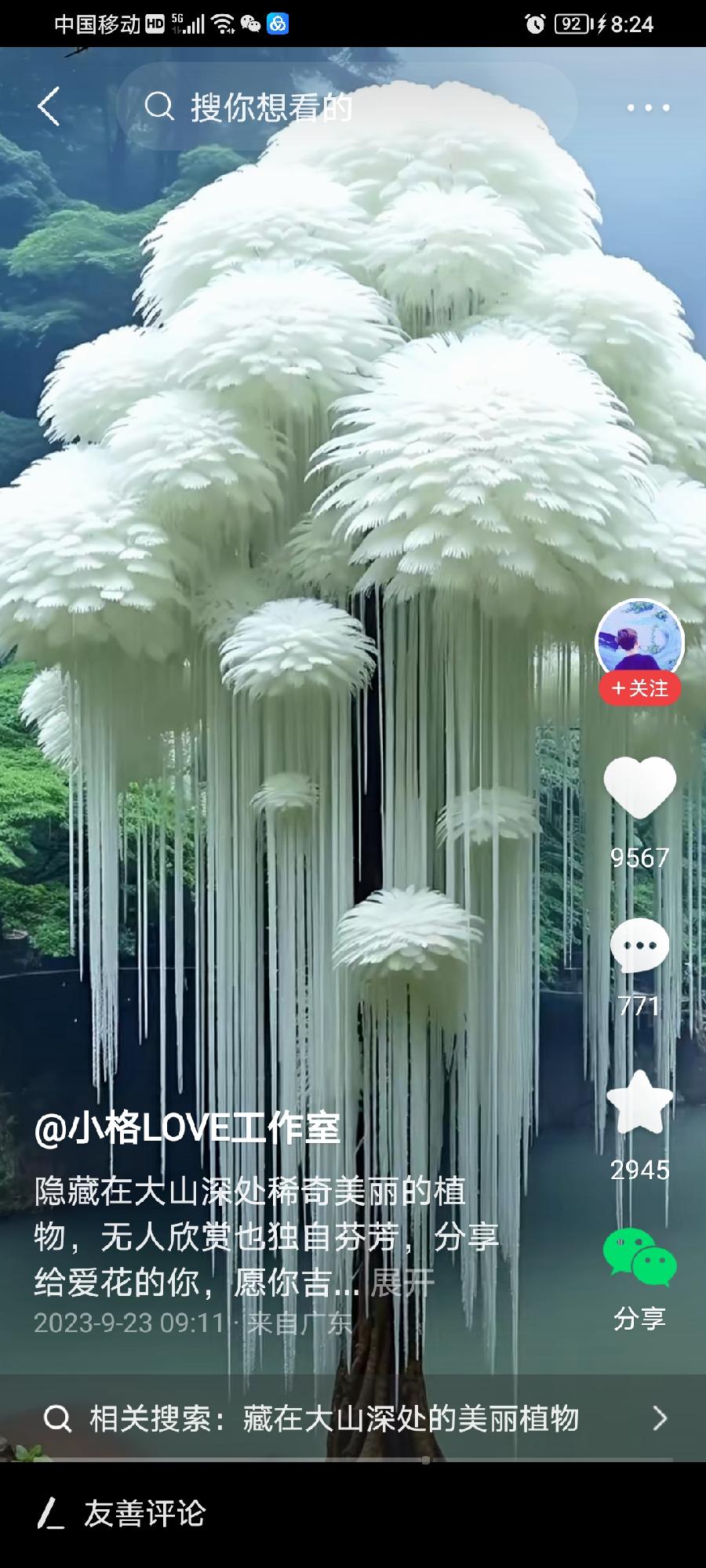五绝·一树绽奇葩（文/方立新）……莲叶之珠文学社（图3）