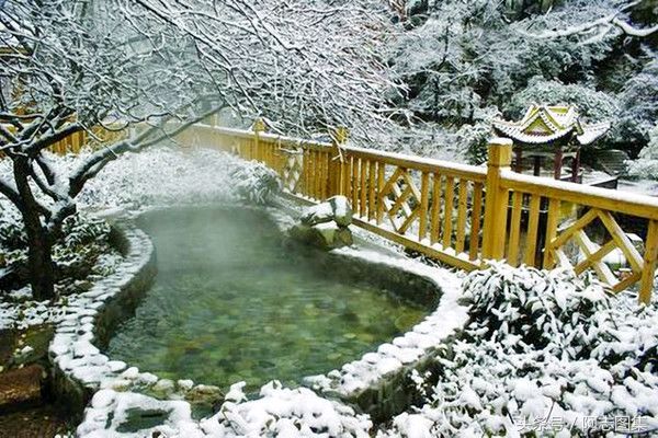【荣耀中国】黄山温泉文/骏马奔腾（图4）