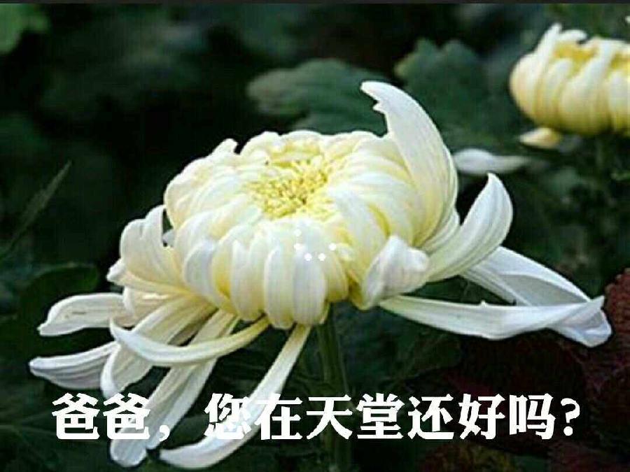 孔德平中秋节组诗词（十二首）（图22）