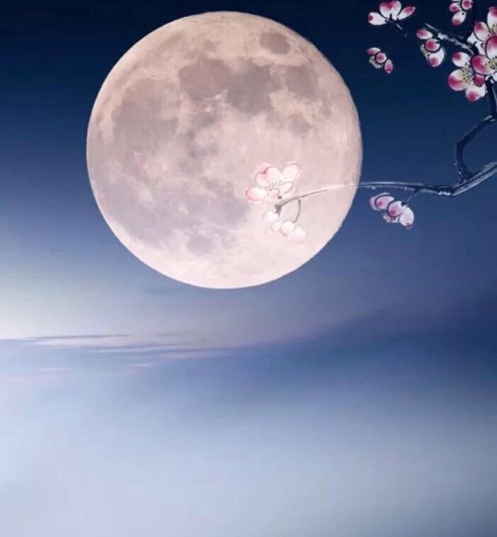国风上海社｜贾玉欣(郑州)个人专刊—上海头条（图2）