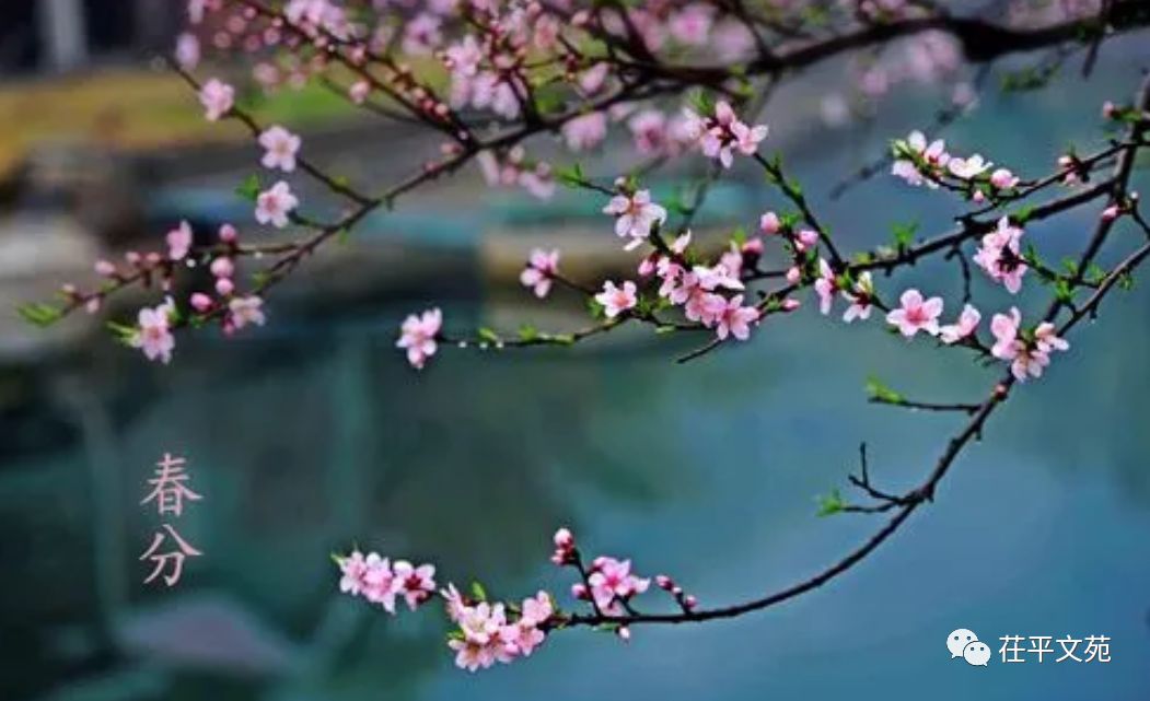 【茌山诗苑】山东平阴侯家赋‖吟春分