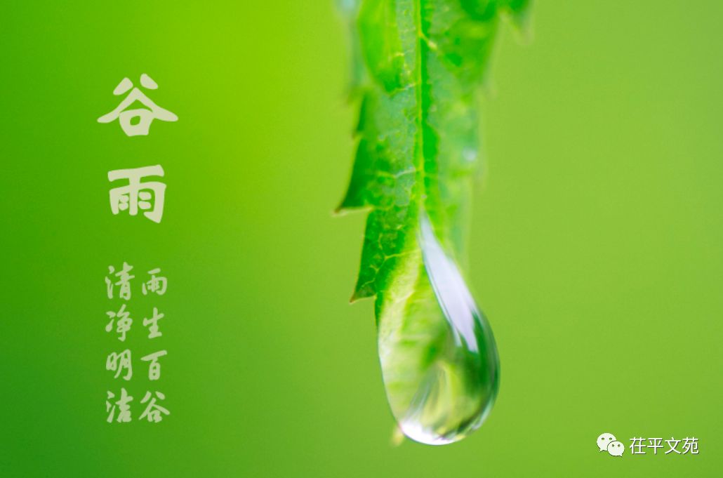 【春日征稿】山东杨运生‖谷雨