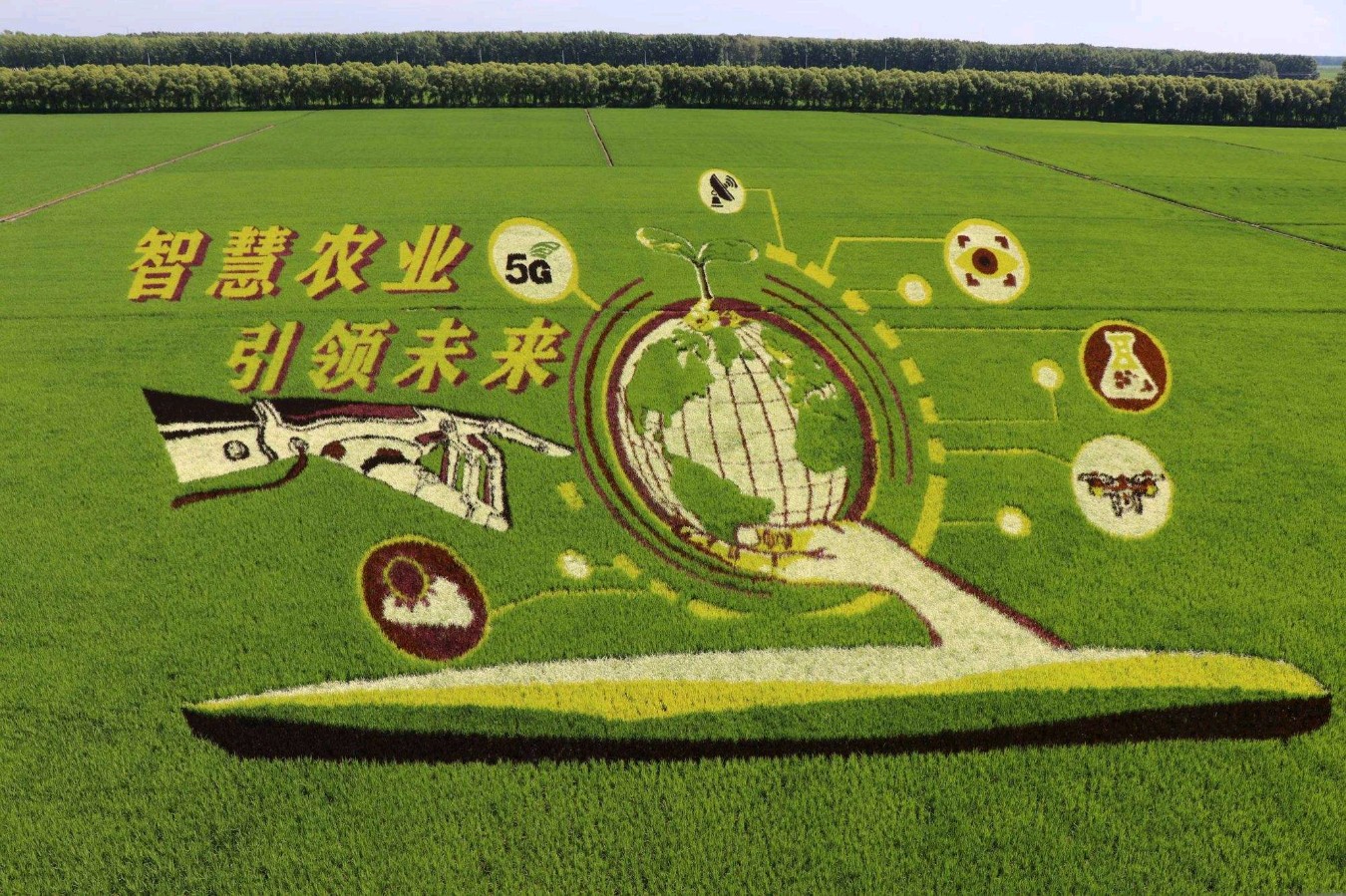 【歌唱祖国暨中秋月圆专辑】合诵《米都丰收嘉年华》作者 李振和//编辑 岁月静好 第6524期（图12）