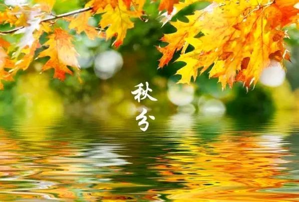 【诗词鉴赏】七律 •颂秋分 文/吴树林(图4)