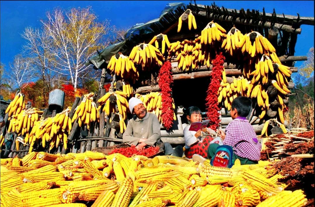 【中国长江文学社】有声文学平台《写在中国农民丰收节》作者吴卫东/诵读田心/制作宋梅【第6526期】（图7）
