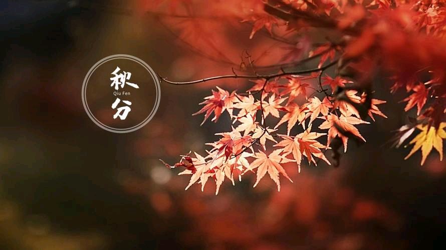 【明心文学】秋分心，浪打浪似的要翻新 作者/孙爱国 主播/薇薇（图2）