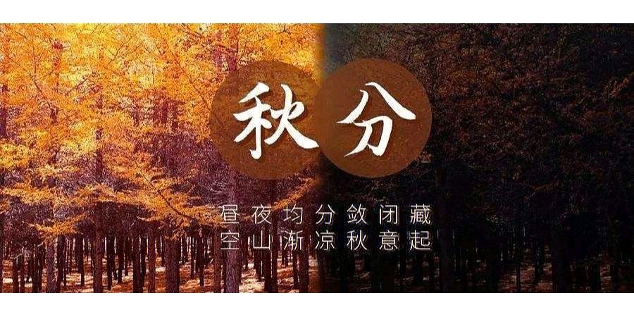 【明心文学】秋分心，浪打浪似的要翻新 作者/孙爱国 主播/薇薇（图5）