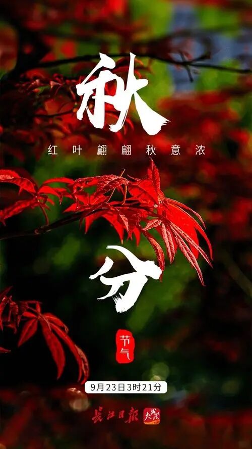 【神州源流诗苑】第1040期优秀近体诗《都市头条》周刊(图4)