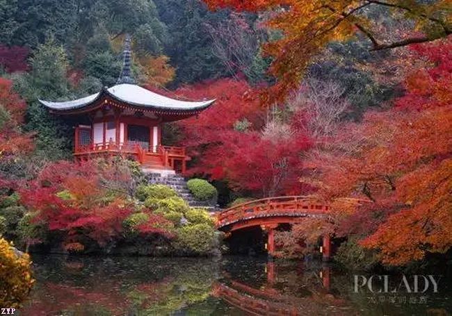 【中国长江文学社】有声文学平台《五绝 城乡秋韵》作者朱守平/诵读茵茵/制作宋梅【第6531期】（图4）