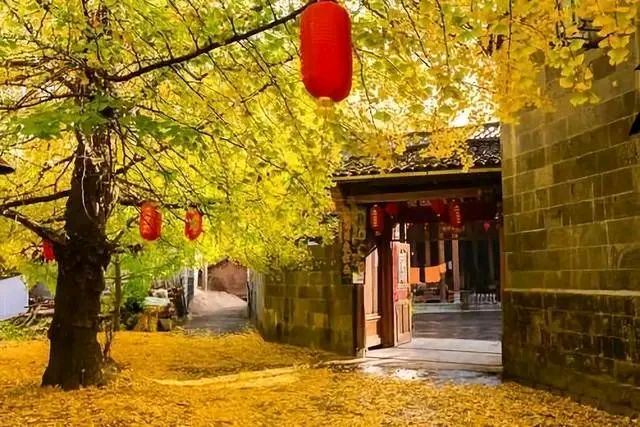 【中国长江文学社】有声文学平台《问答与思考》作者仲人/诵读叶子/制作宋梅【第6532期】（图4）