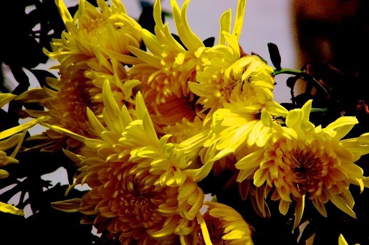 江城子 中秋节（外四首）文／张昕（图6）