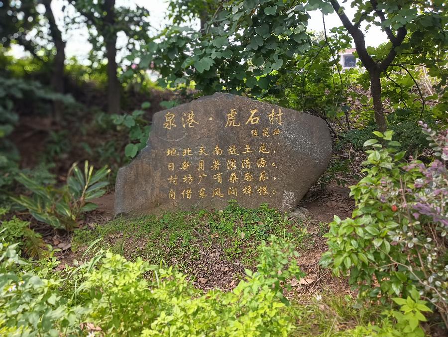 “山海泉港滨海后龙”诗歌（11、12）诗||雅轩琴韵（图14）