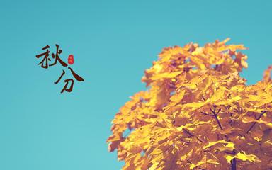 《七绝/中秋·秋分·秋念》作者:龙游天下【主播:马志宏】【中国现代诗歌文化传媒】古韵♬ 鉴赏（图5）