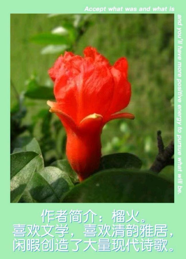 【花雨馨声平台周年庆典暨迎双节】《花雨馨香，浓情盛放》主题诵读晚会诵读歌舞各展风采（图9）
