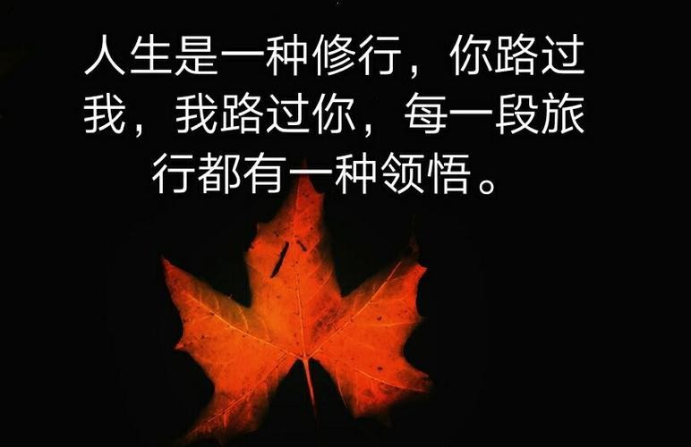 【重磅推出】鲁坡//秋节国庆共贺时｛外五首｝（图10）