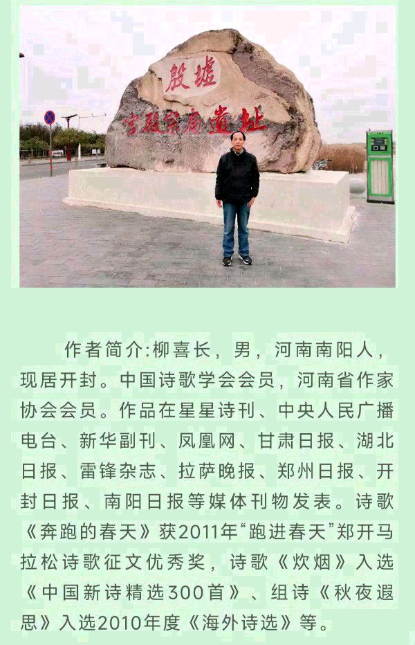 中华诗艺黑龙江分社微刊第216期(图29)