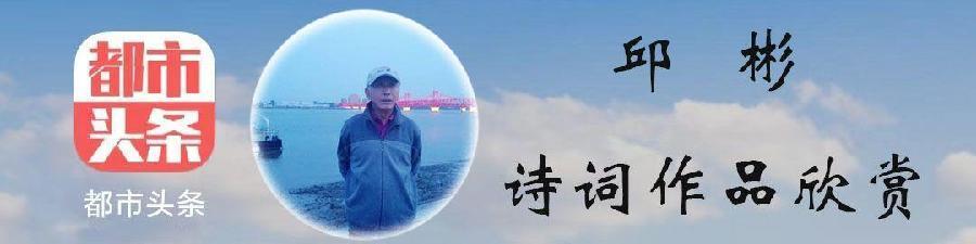 中华诗艺黑龙江分社微刊第216期(图10)