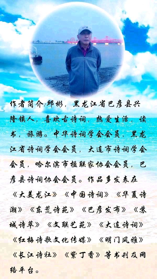 中华诗艺黑龙江分社微刊第216期(图11)