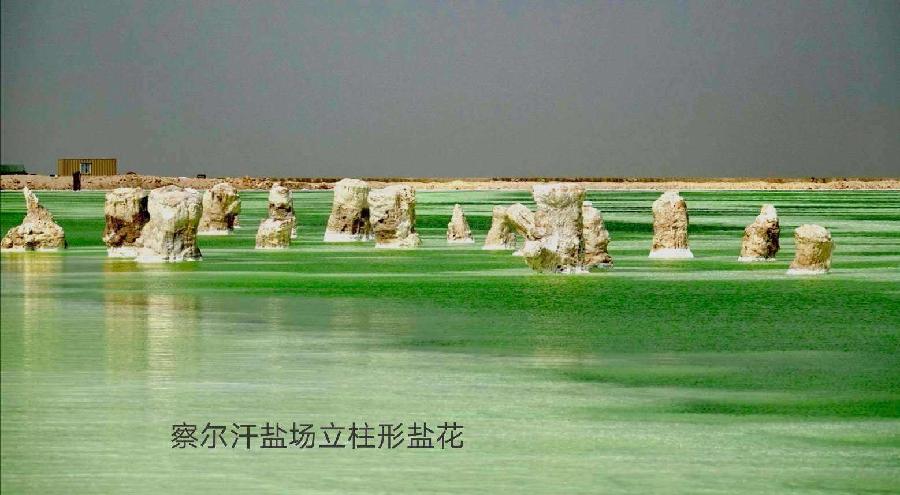 【重磅推出】张建国老师//察尔汗盐湖｛精短文学｝欣赏（图6）