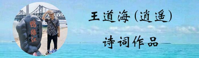中华诗艺黑龙江分社微刊第217期(图22)