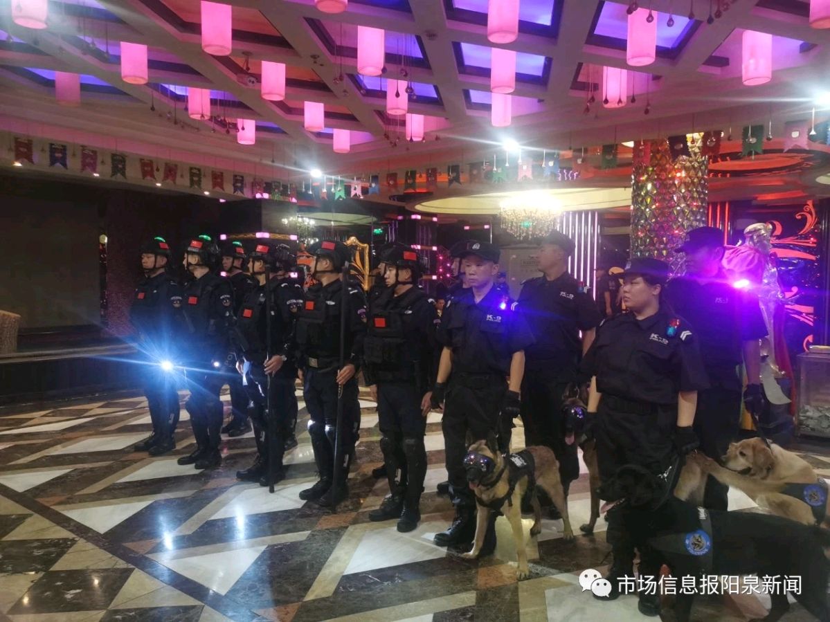 阳泉市举行全市公安机关夏季治安打击整治行动新闻发布会(图3)