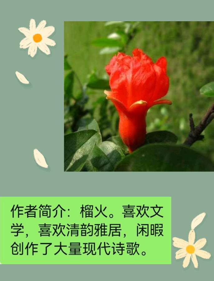 【花雨馨声周年庆典专刊】名家美诵《腾飞的花雨馨声》作者/榴火 诵读/梦璐 【花雨馨声】第468期（图11）