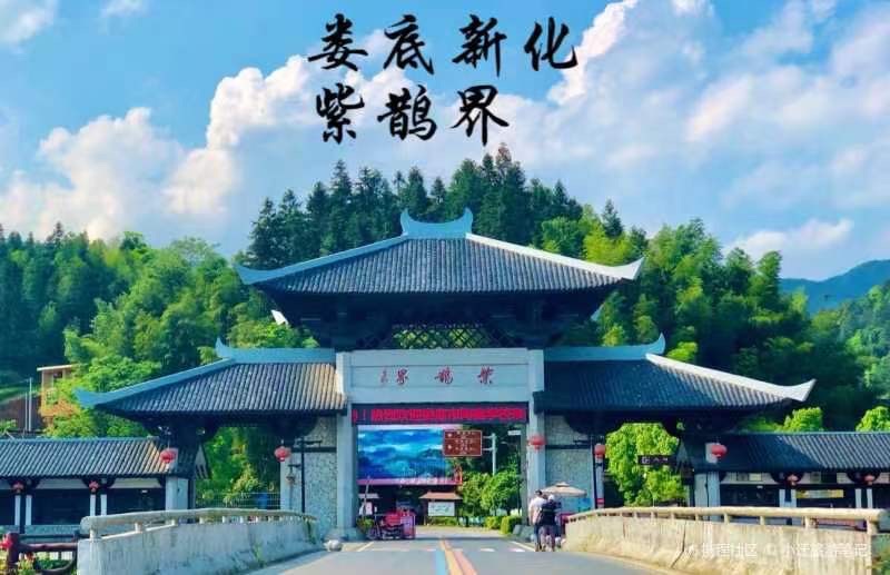 王界明ll雨淋雾罩紫鹊界 个人专辑第59期 京津沪头条（图2）