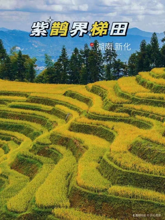 王界明ll雨淋雾罩紫鹊界 个人专辑第59期 京津沪头条（图10）